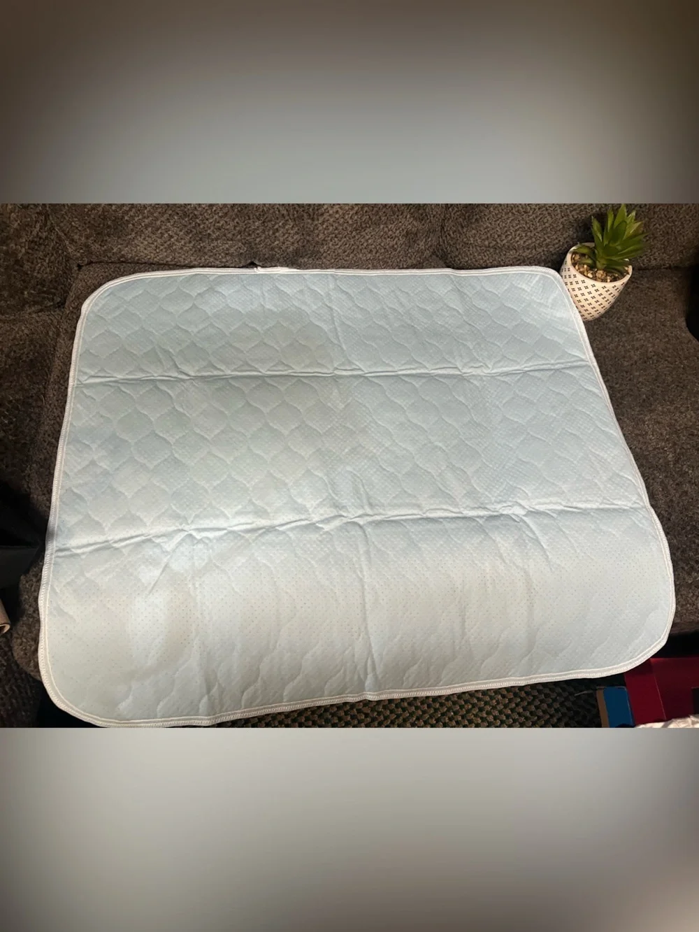 5 NWOT Puppy Pads in Light tan with Black Paw & Bone Print